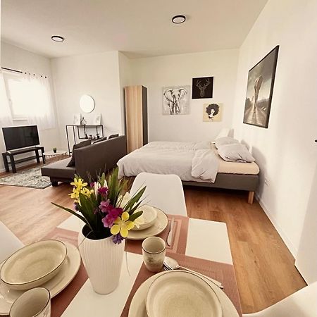 Studio Apartment Albblick Trossingen Exterior photo
